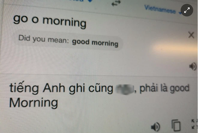 Từ nghi vấn Google Dịch bị hacker Việt tấn công đến hành động đáng lên án của nhiều người dùng Internet - Ảnh 4.