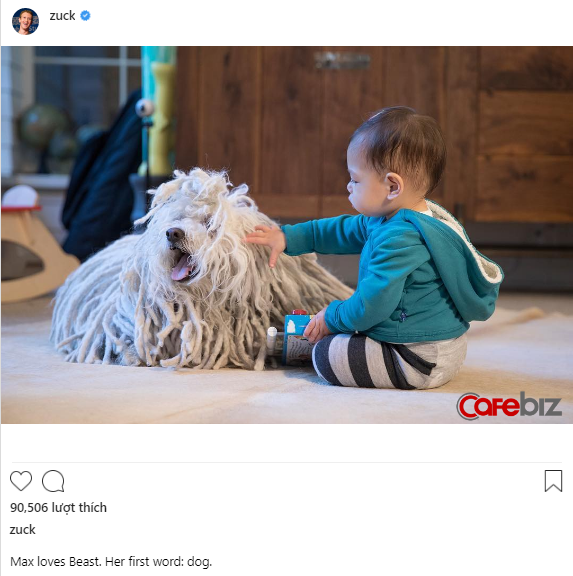 Chỉ với một động tác đơn giản, cú chó lông xù của Mark Zuckerberg đã giúp Facebook chốt deal mua WhatsApp trị giá 19 tỷ USD chỉ sau có vài giây - Ảnh 1.