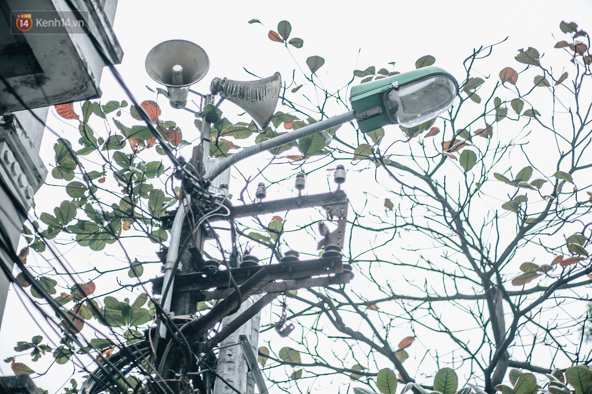 Chuyện khai tử loa phường Hà Nội: Người muốn giữ ký ức, kẻ muốn yên tĩnh thoát khỏi thảm họa âm thanh - Ảnh 6.