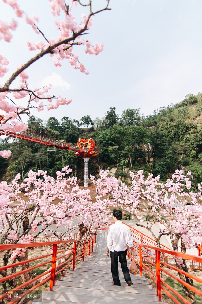 Tranh cãi xoay quanh yếu tố thẩm mỹ của cây cầu 5D đang gây sốt ở Mộc Châu: Khen đẹp thì ít nhưng chê bai sến súa, lạc lõng nhiều vô kể - Ảnh 33.