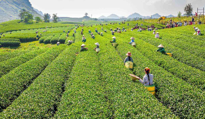 Tranh cãi xoay quanh yếu tố thẩm mỹ của cây cầu 5D đang gây sốt ở Mộc Châu: Khen đẹp thì ít nhưng chê bai sến súa, lạc lõng nhiều vô kể - Ảnh 36.