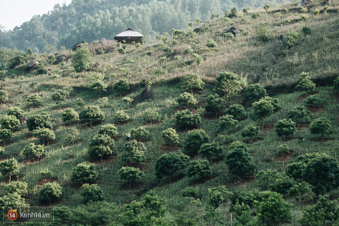 Tranh cãi xoay quanh yếu tố thẩm mỹ của cây cầu 5D đang gây sốt ở Mộc Châu: Khen đẹp thì ít nhưng chê bai sến súa, lạc lõng nhiều vô kể - Ảnh 45.