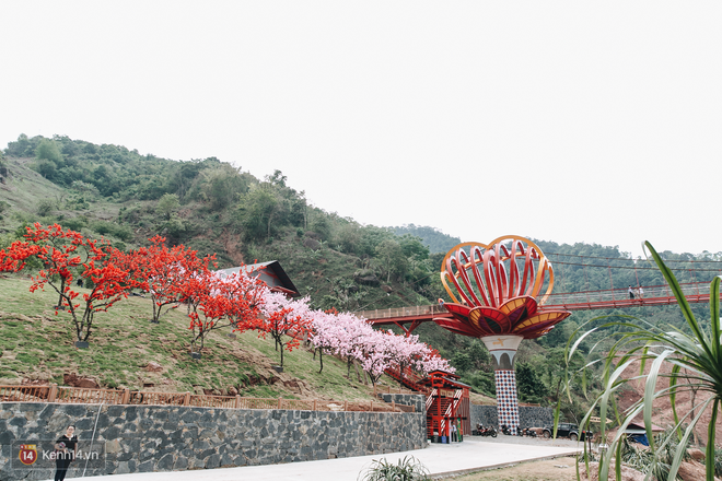 Tranh cãi xoay quanh yếu tố thẩm mỹ của cây cầu 5D đang gây sốt ở Mộc Châu: Khen đẹp thì ít nhưng chê bai sến súa, lạc lõng nhiều vô kể - Ảnh 9.