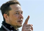 Elon Musk: Nếu mua được Twitter, tôi sẽ trả lương cho toàn bộ HĐQT 0 đồng