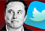 Lượng người quan tâm đến công việc tại Twitter tăng hơn 250% vì Elon Musk, người đang làm thì lại lo lắng