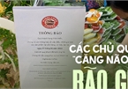 Nỗi khổ của các hàng ăn uống thời bão giá: Tăng tiền thì sợ mất khách mà giữ nguyên cũng không xong