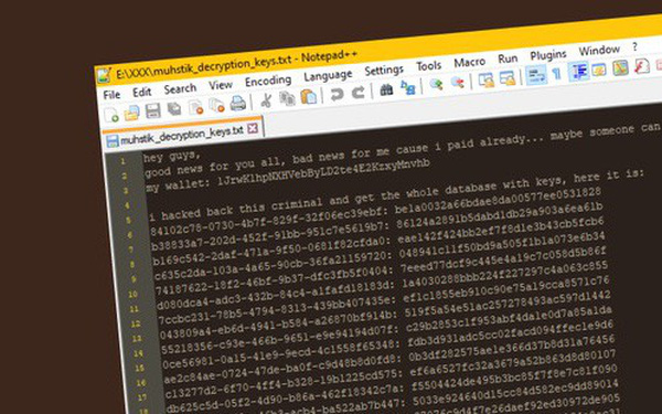 Bị hacker đòi tiền chuộc, nạn nhân quyết tâm hack lại máy chủ của nhóm lừa đảo