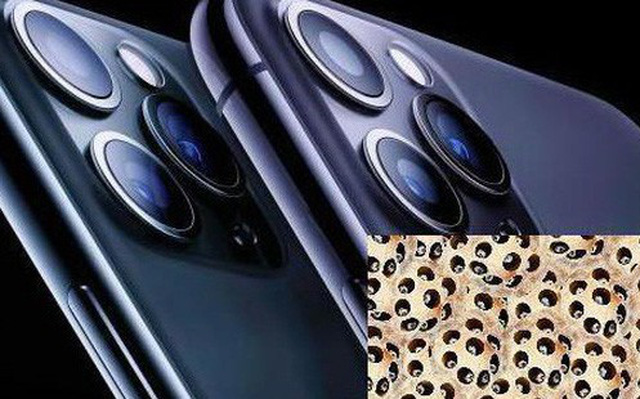 Sẽ có khoảng 1 tỷ người trên thế giới chắc chắn không mua iPhone 11 Pro và Pro Max dù mê Apple đến cỡ nào, lý do nằm ở đây