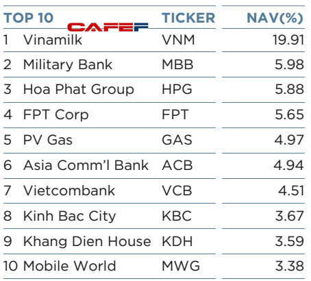 10 khoản đầu tư chiếm tỷ trọng lớn nhất trong danh mục của VEIL tính đến đầu tháng 8/2016