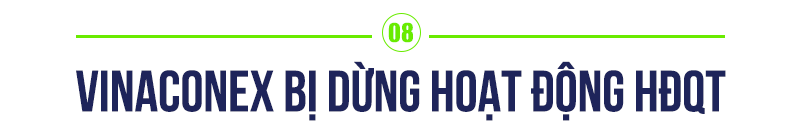 9 sự kiện doanh nghiệp 2019: Một năm bận rộn của các tỷ phú - Ảnh 16.