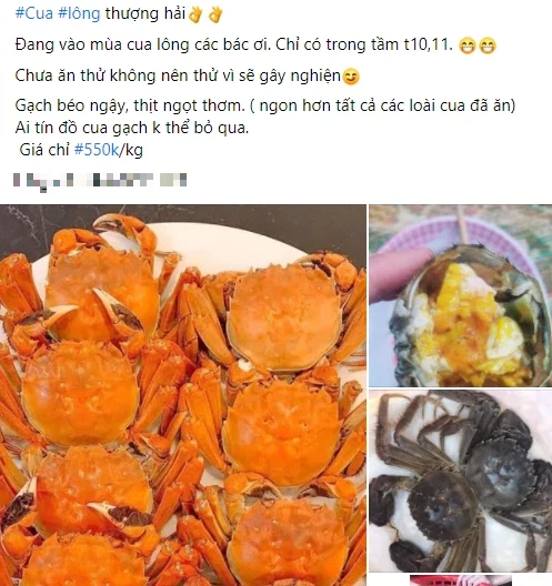 Loại cua nhà giàu giá rẻ bất ngờ bán đầy chợ mạng, tiểu thương tiết lộ sự thật - Ảnh 2.