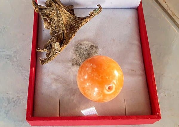 Báu vật Việt Nam gần như độc quyền: Một viên to bằng quả trứng đổi được vài căn chung cư! - Ảnh 1.