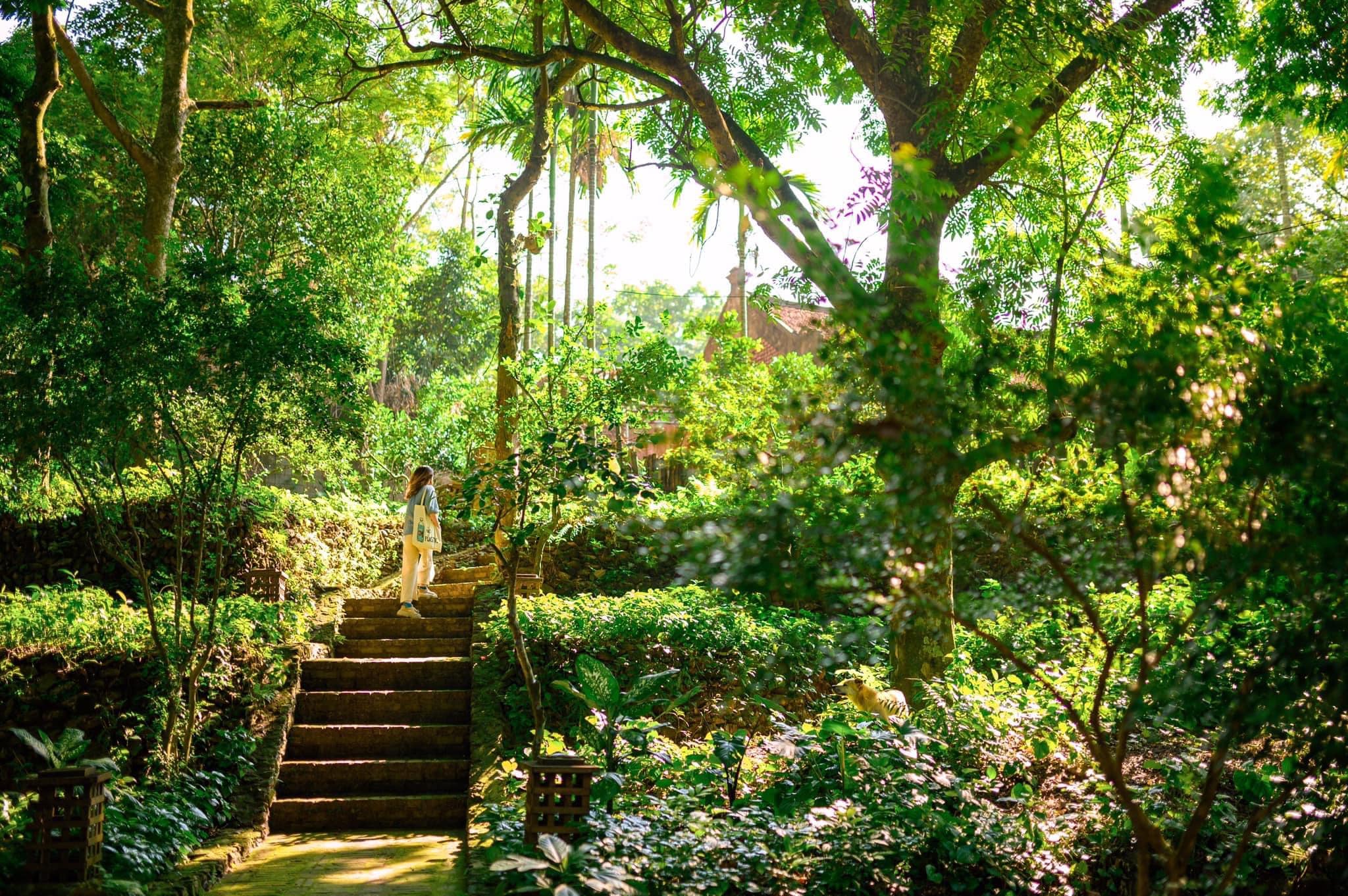 Mê mẩn với căn nhà second-home đẹp đến phát thèm tại ngoại ô Hà Nội, lộ bí quyết nhà đẹp quanh năm chỉ với 0 đồng của bà chủ nhà - Ảnh 1.