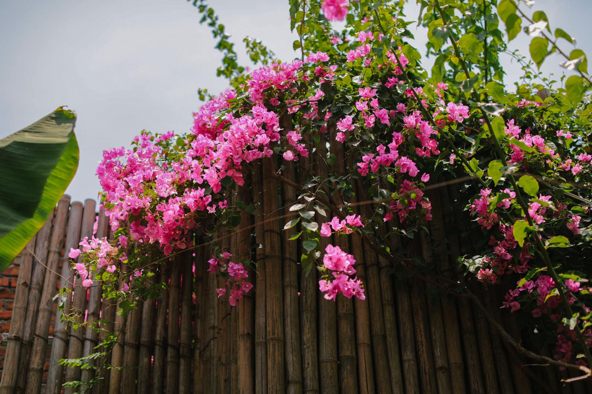 Mê mẩn với căn nhà second-home đẹp đến phát thèm tại ngoại ô Hà Nội, lộ bí quyết nhà đẹp quanh năm chỉ với 0 đồng của bà chủ nhà - Ảnh 20.