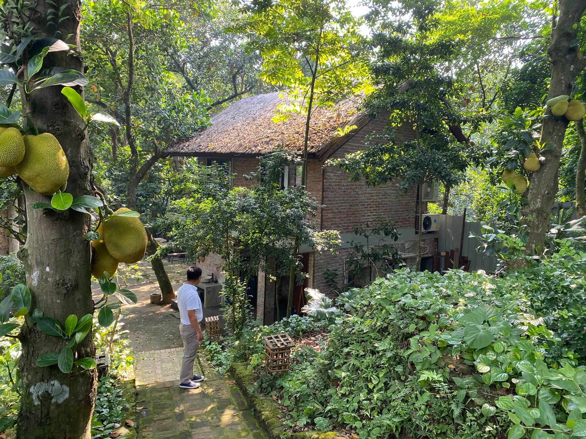 Mê mẩn với căn nhà second-home đẹp đến phát thèm tại ngoại ô Hà Nội, lộ bí quyết nhà đẹp quanh năm chỉ với 0 đồng của bà chủ nhà - Ảnh 14.