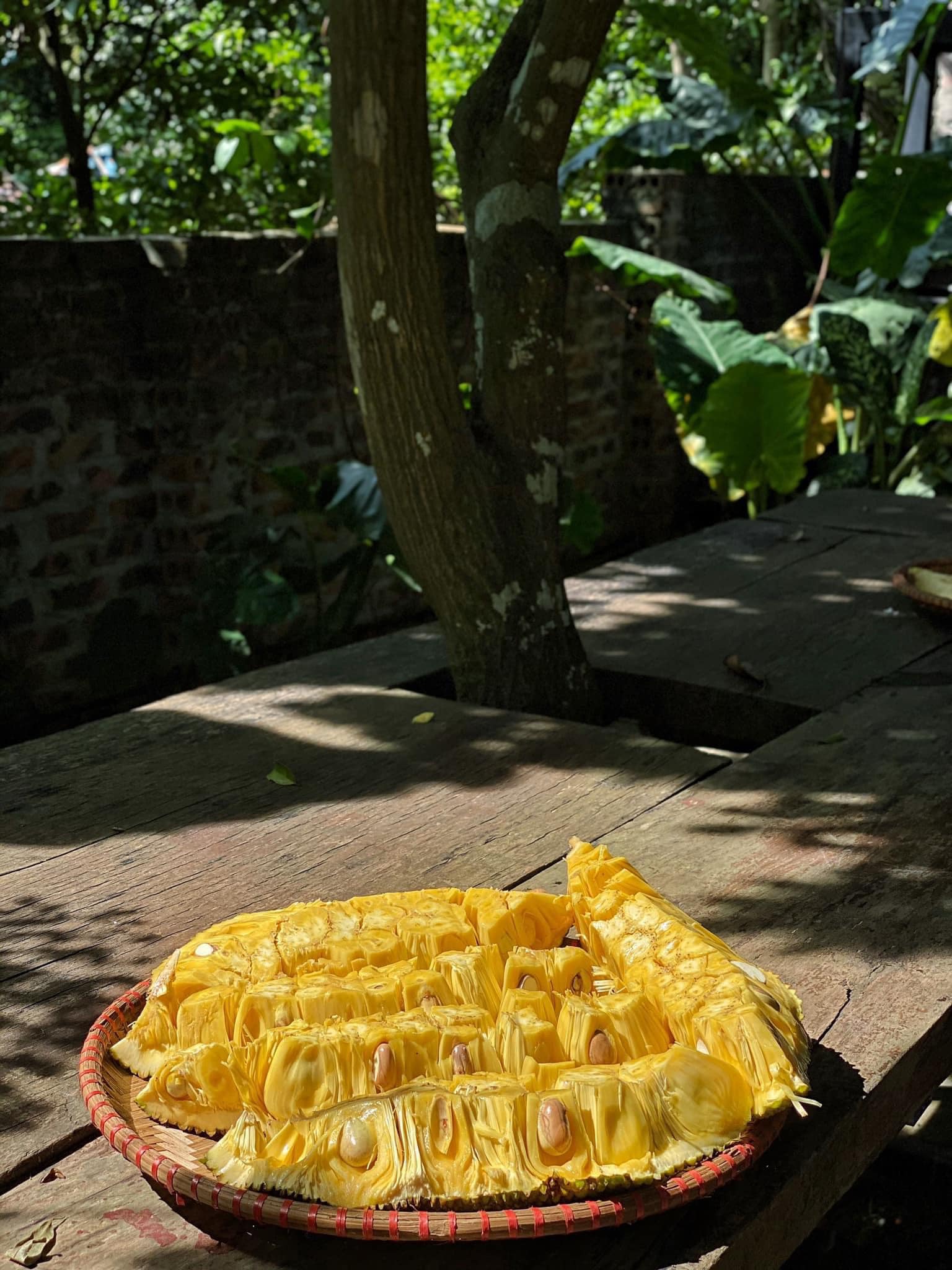 Mê mẩn với căn nhà second-home đẹp đến phát thèm tại ngoại ô Hà Nội, lộ bí quyết nhà đẹp quanh năm chỉ với 0 đồng của bà chủ nhà - Ảnh 17.