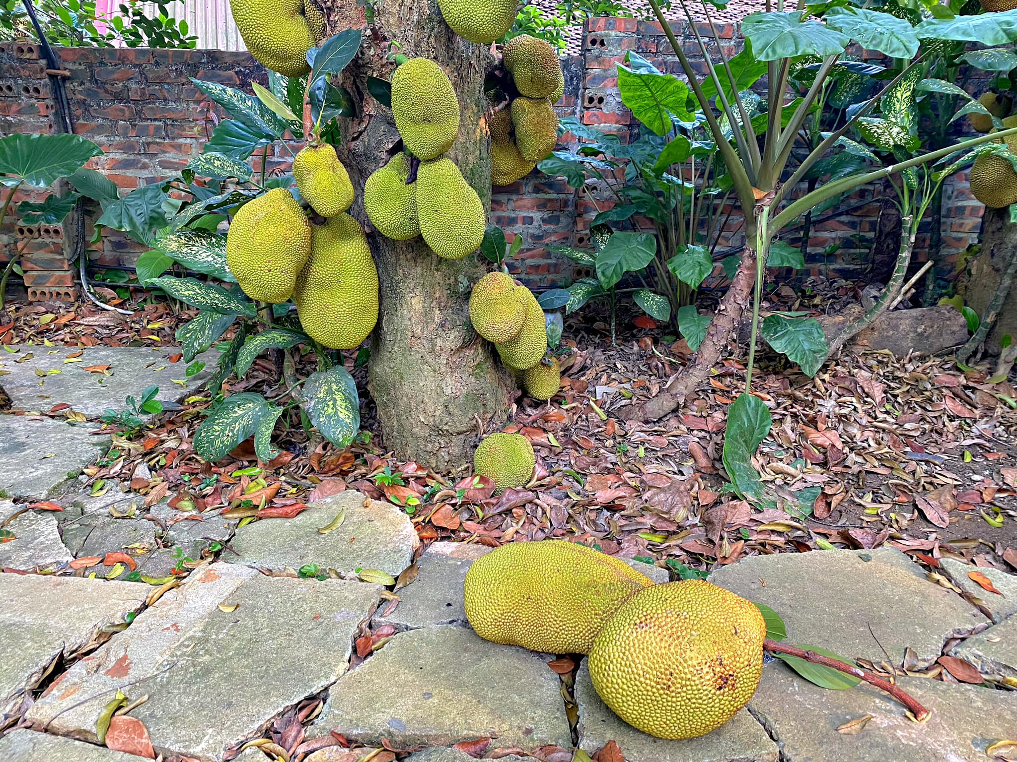 Mê mẩn với căn nhà second-home đẹp đến phát thèm tại ngoại ô Hà Nội, lộ bí quyết nhà đẹp quanh năm chỉ với 0 đồng của bà chủ nhà - Ảnh 9.