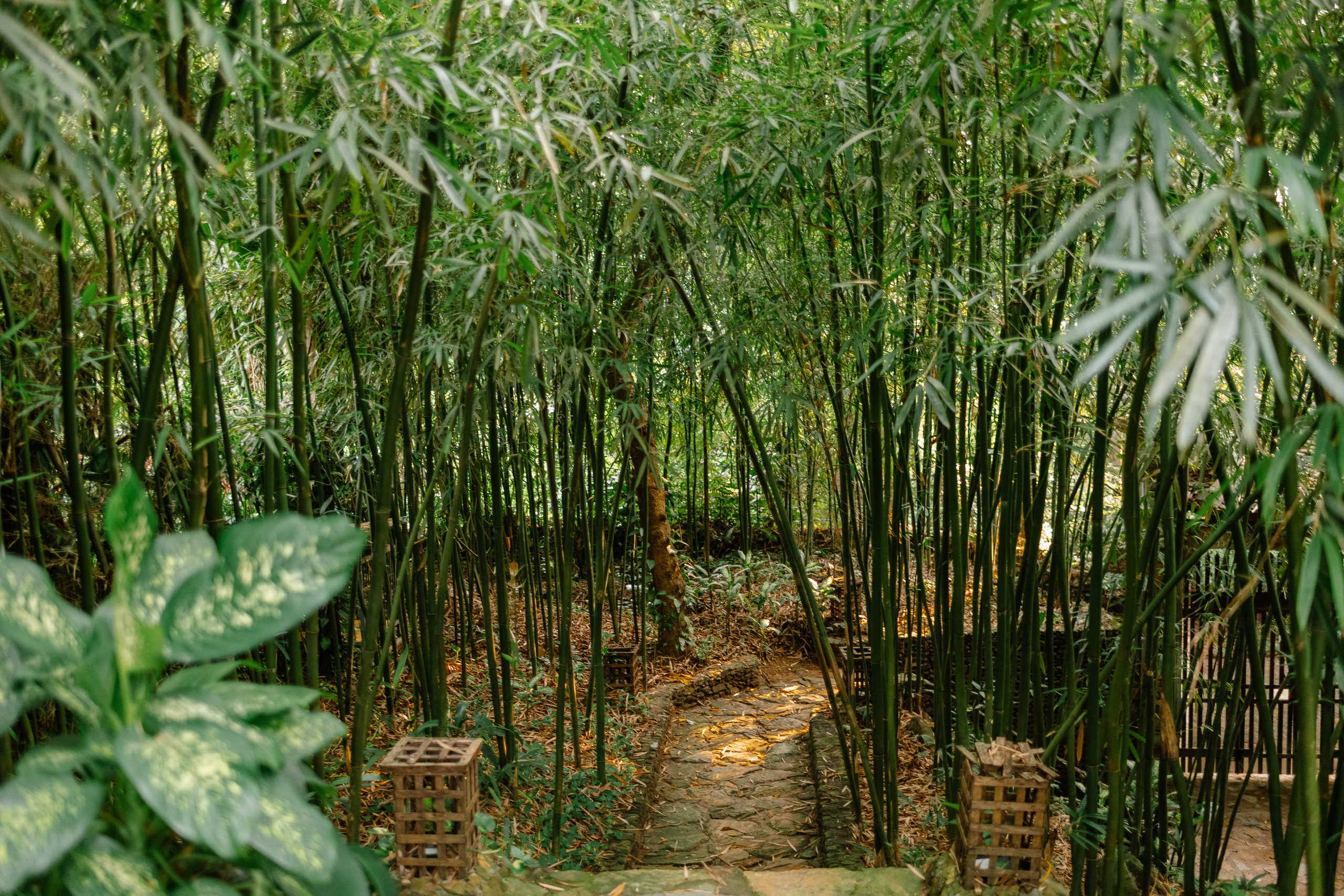 Mê mẩn với căn nhà second-home đẹp đến phát thèm tại ngoại ô Hà Nội, lộ bí quyết nhà đẹp quanh năm chỉ với 0 đồng của bà chủ nhà - Ảnh 26.