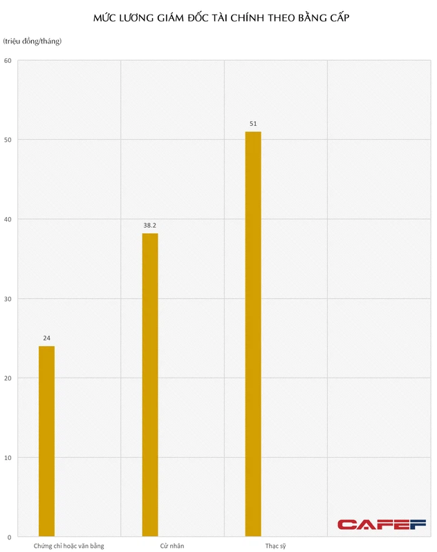 Khác biệt lương CFO tại doanh nghiệp Việt Nam ra sao? - Ảnh 2.
