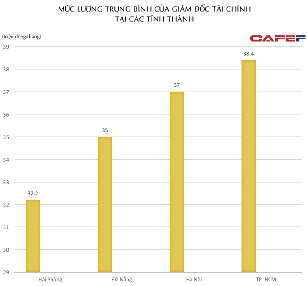 Khác biệt lương CFO tại doanh nghiệp Việt Nam ra sao? - Ảnh 4.