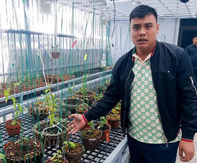 Tiết lộ bất ngờ từ cơ quan thuế về công ty của đại gia lan đột biến vừa bị bắt - Ảnh 1.