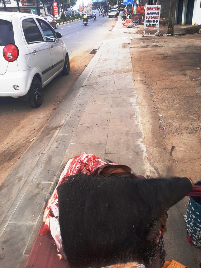 Thâm nhập thủ phủ thịt thú rừng Gia Lai - Ảnh 2.