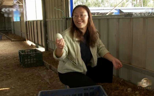 Nữ giảng viên tưởng an phận với công việc, bỗng thất nghiệp ở tuổi 32, chật vật khởi nghiệp bằng nghề bán trứng, 7 năm trở thành tỷ phú khiến ai cũng ngỡ ngàng - Ảnh 3.