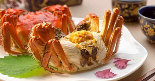 Loại cua 'nhà giàu' giá rẻ bất ngờ bán đầy chợ mạng, tiểu thương tiết lộ sự thật