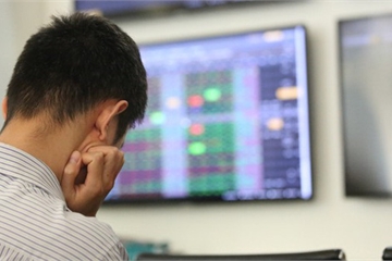 Nhà đầu tư “bấn loạn” trong vòng xoáy cắt lỗ-bắt đáy, hưng phấn khi thị trường hồi phục
