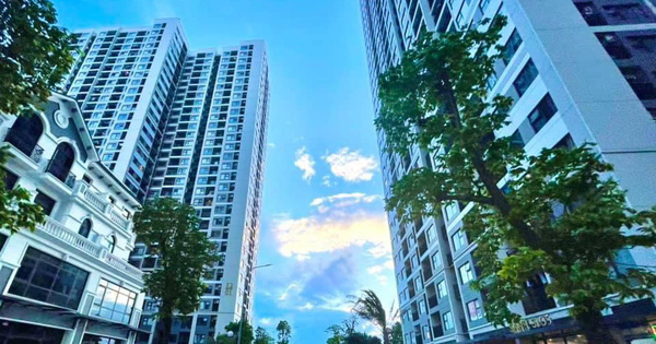 Giá thuê căn hộ lao dốc, giới đầu tư