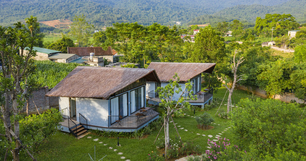 Đầu tư farmstay: Cuộc chơi của 'đại gia' tiền tỷ