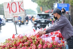 Thanh long tại Việt Nam bán 'giải cứu' 5.000-10.000 đồng/kg nhưng xuất sang châu Âu giá 400.000 đồng 1 quả