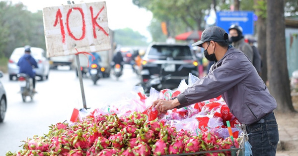 Thanh long tại Việt Nam bán 'giải cứu' 5.000-10.000 đồng/kg nhưng xuất sang châu Âu giá 400.000 đồng 1 quả