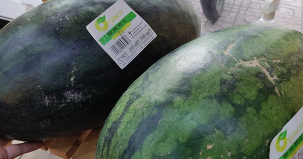 Housewife “stunned” with a watermelon costing more than 700,000 VND