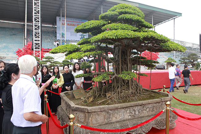 Tác phẩm “Thụ lâm bồng thạch” vừa đoạt giải vàng tại Festival sản phẩm Nông nghiệp và làng nghề Hà Nội – lần thứ nhất 2019.