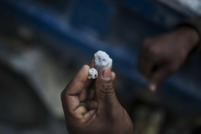 Một người may mắn tìm thấy đá có lẫn hồng ngọc.