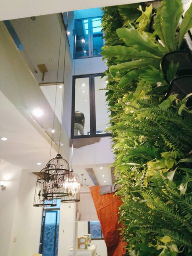 Hương Tràm chia sẻ không gian toàn bộ ngôi nhà nữ ca sĩ thiết kế dành riêng cho bố mẹ trước khi sang Mỹ du học. Không gian chủ yếu màu xanh để hợp với mệnh của ca sĩ. Thảm cây xanh tươi bên trong nhà là điểm nhấn đặc biệt có thể dễ thấy được sắp đặt kéo dài dọc chiều dài của căn nhà.