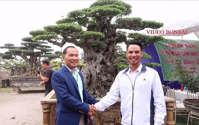 Tác phẩm sanh cổ “Tiên lão giáng trần” của ông Dương Văn Mười (Thường Tín, Hà Nội) mới được chuyển nhượng cho nghệ nhân Nguyễn Văn Chí (Thường Tín) với giá 16 tỷ đồng làm “chấn động” giới chơi cây cảnh