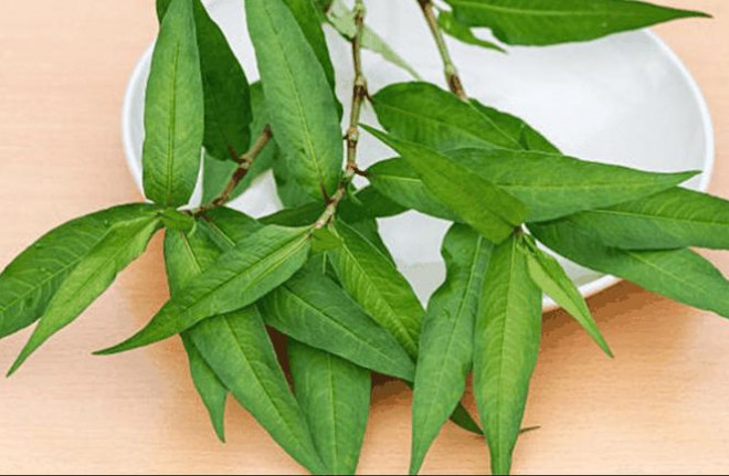 Những món ăn quý ông tránh cho xa kẻo