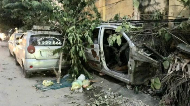 Giật mình dàn xe taxi