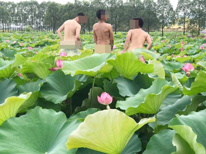 Nhóm thanh niên chụp ảnh phản cảm với sen bị “ném đá” dữ dội - 2