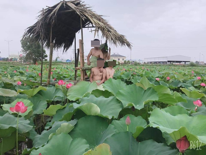 Nhóm thanh niên chụp ảnh phản cảm với sen bị “ném đá” dữ dội - 3