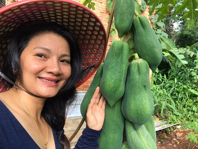 Những ngày chống dịch Covid-19, chị về khu vườn ở vùng ngoại ô tỉnh Bình Phước rộng 5.000 m2 để cải tạo, thu hoạch trái cây.
