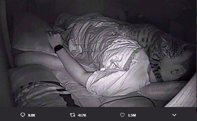Đặt camera phòng ngủ, chàng trai phát hiện nguyên nhân khiến anh khó thở hằng đêm - 2