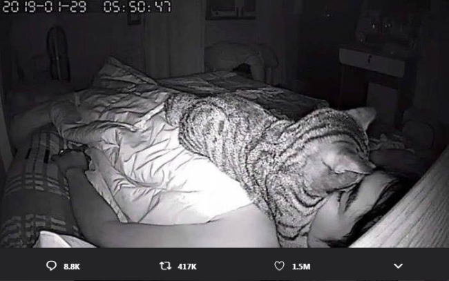 Đặt camera phòng ngủ, chàng trai phát hiện nguyên nhân khiến anh khó thở hằng đêm - 3