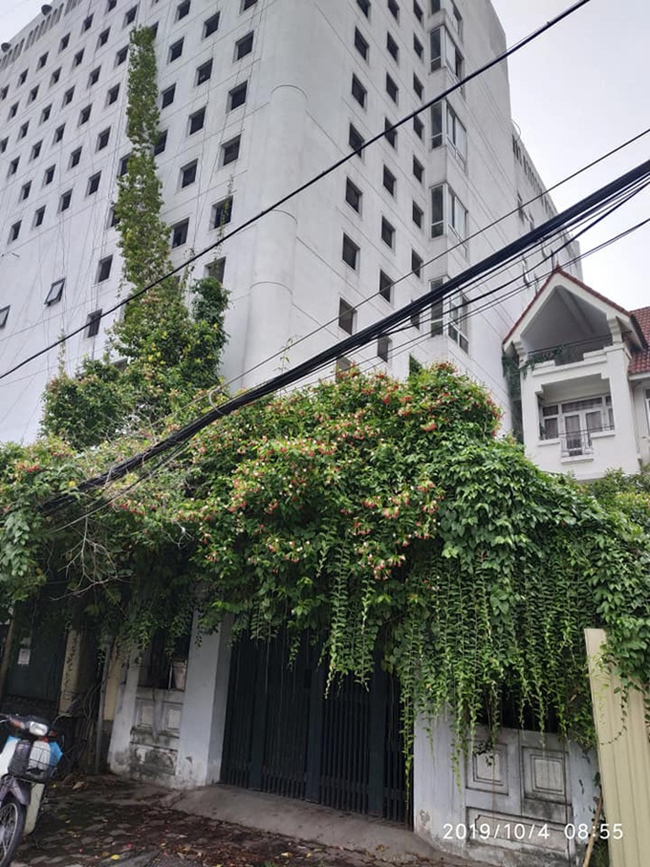 Phía trước nhà, Minh Vũ trồng một giàn hoa leo xanh tươi phủ hết khoảng sân trông rất bắt mắt.  