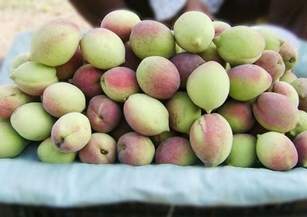 Những điều cần tránh khi ăn quả đào để không rước độc vào thân, 4 nhóm sau nên hạn chế - 1