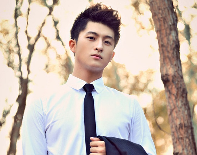 Trong cuốn tự truyện, Hoàng Thùy Linh từng chia sẻ rằng mối quan hệ với Hary Lu chưa được xem là tình yêu. Song, với chia sẻ của Harry Lu, cô cảm thấy