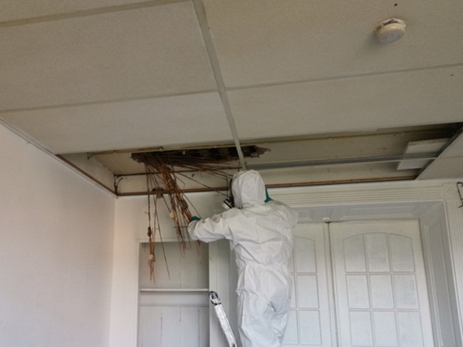 Cirakoglu thường xuyên đăng các hình ảnh online giới thiệu công việc của mình. Tuy nhiên, nhiều hình ảnh mà chàng trai này đăng tải trên mạng khiến nhiều người cảm thấy kinh sợ vì dọn dẹp các nơi quá bẩn thỉu.