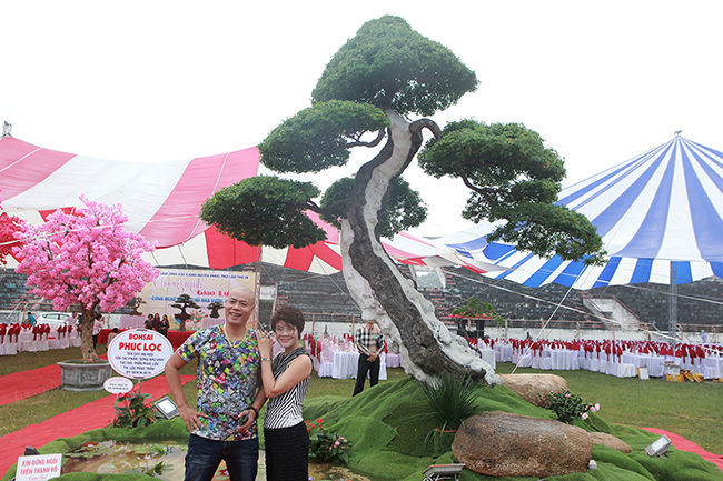 Chủ nhân tác phẩm cho hay, theo đánh giá của giới&nbsp;chơi cây, tác phẩm này phải có giá hơn 5 tỷ đồng.